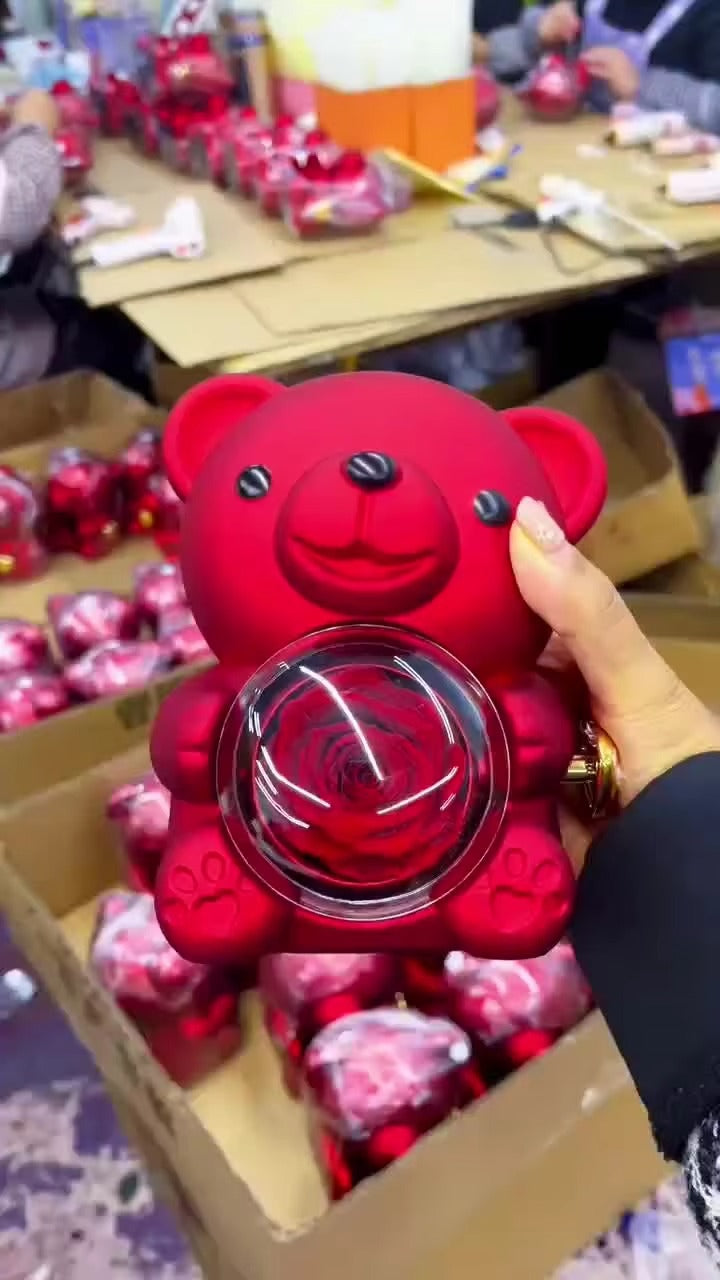 Handmade Romantic Engagement Forever Red Rose Necklace Preserved Jewelry Box for Graduation Mother's Day Valentine's Day Gifts